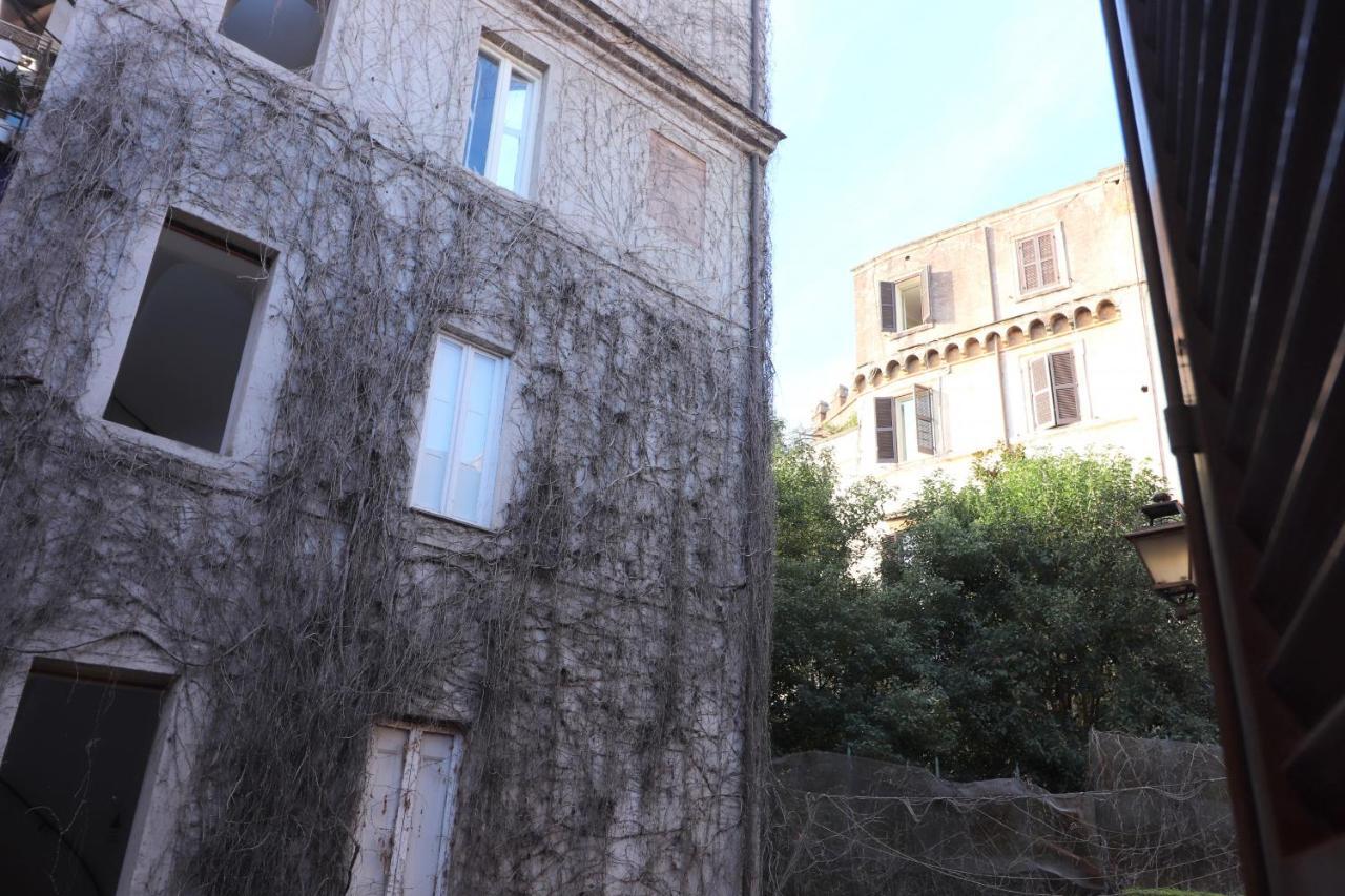 Lejlighed Lovely Navona *